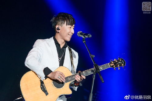 陈羽凡持股传媒公司注销，演出经纪市场洗牌再添波澜